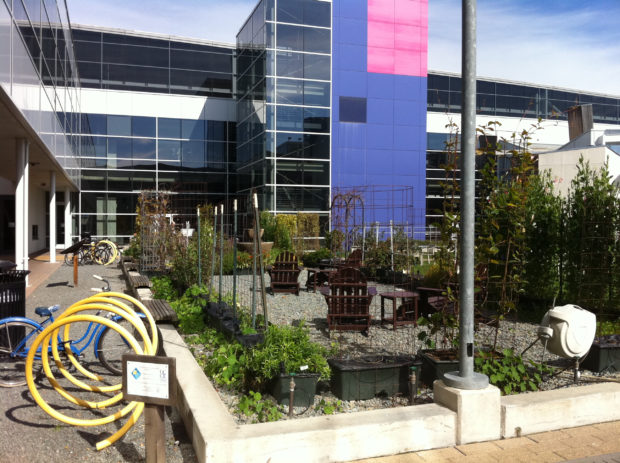 Photo of Google Moutain View campus garden